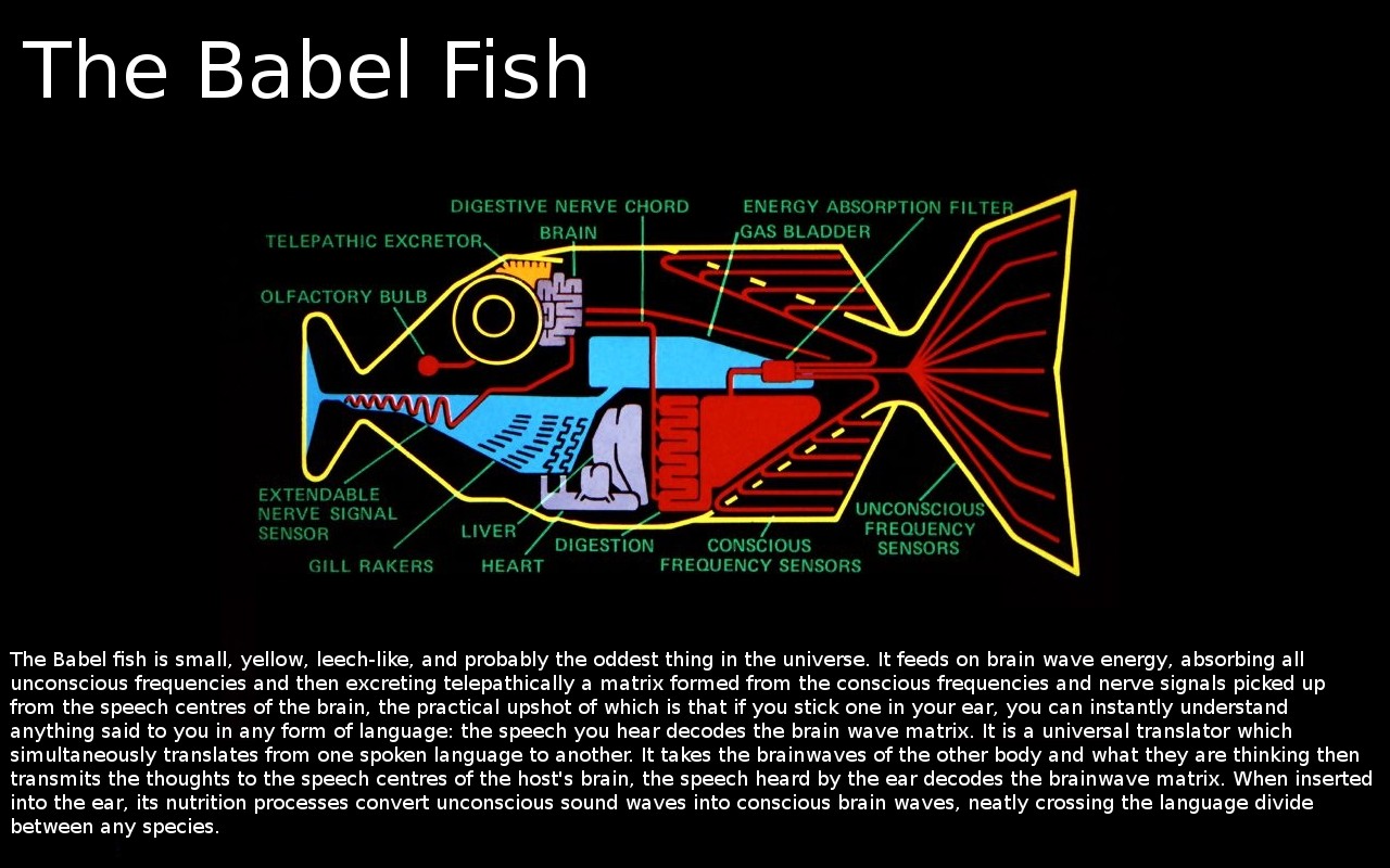 babel fish french to english translator