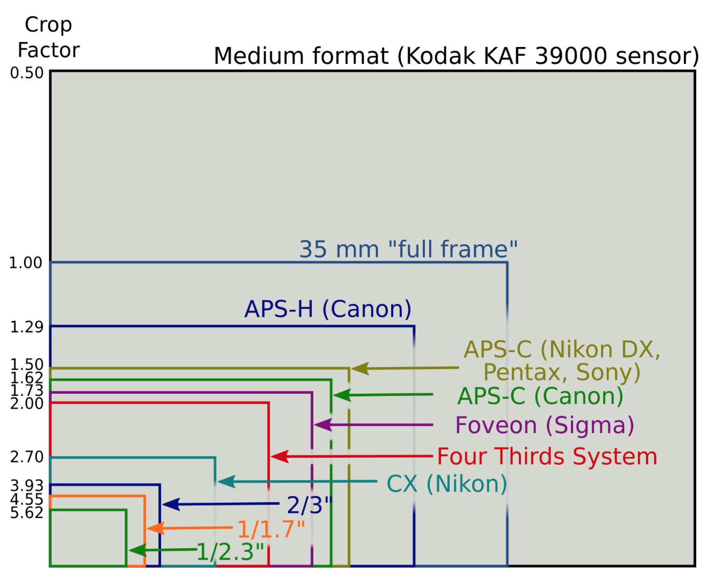 Comparing Traditional Photography and Digital Imaging