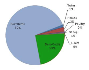 Animal sources of methane