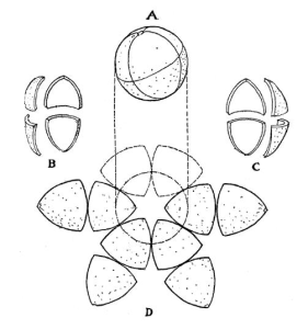 Cahill mapping process