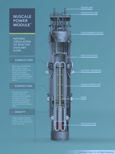 NuScale module